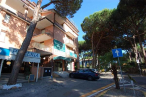 Apartments in Rosolina Mare 24872
